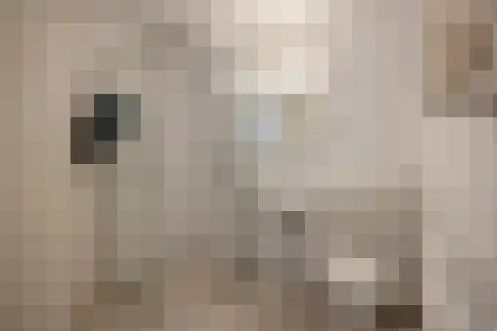 Corbuloschans 2 Zoetermeer thumbnail 19