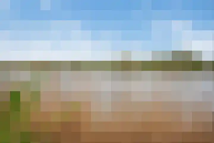 Corbuloschans 2 Zoetermeer thumbnail 25