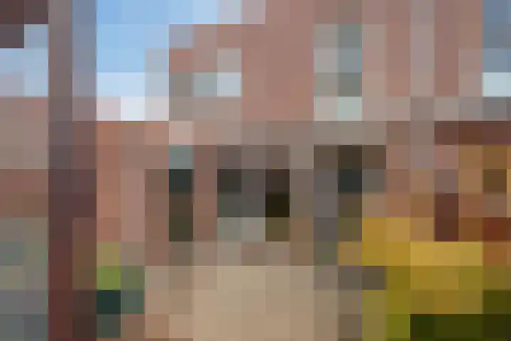 Corbuloschans 2 Zoetermeer thumbnail 4