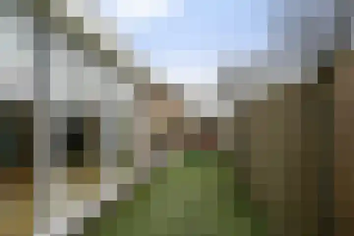 Corellistraat 25 Boxtel thumbnail 57
