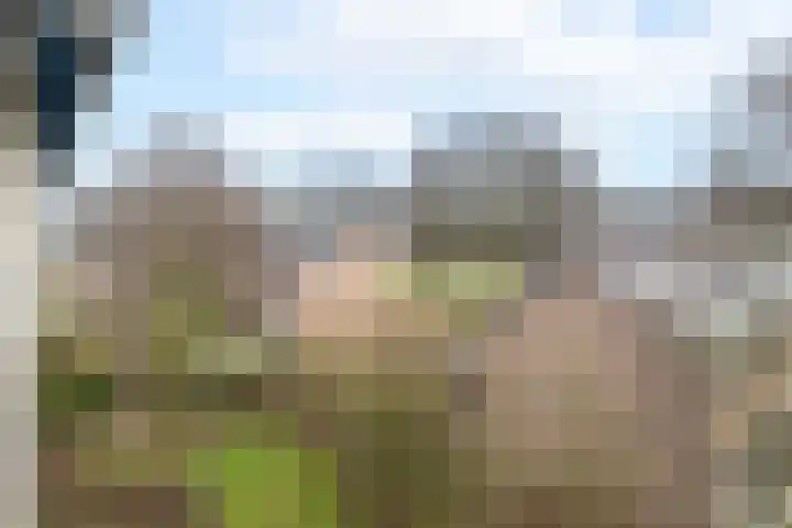 Corellistraat 52 Zwolle thumbnail 23