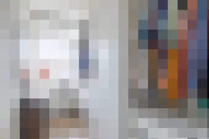 Corellistraat 52 Zwolle thumbnail 24