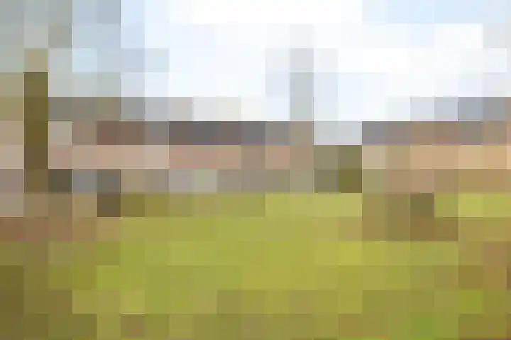 Corellistraat 52 Zwolle thumbnail 31