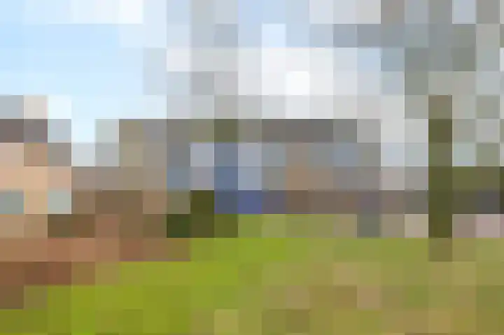 Corellistraat 52 Zwolle thumbnail 5