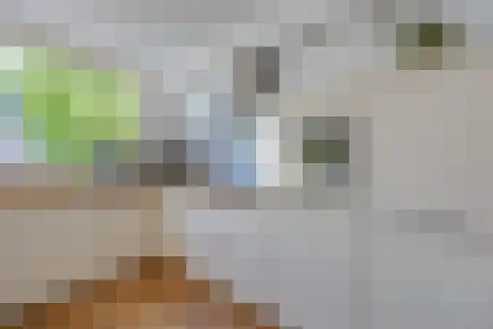 Corellistraat 8 Almere thumbnail 12