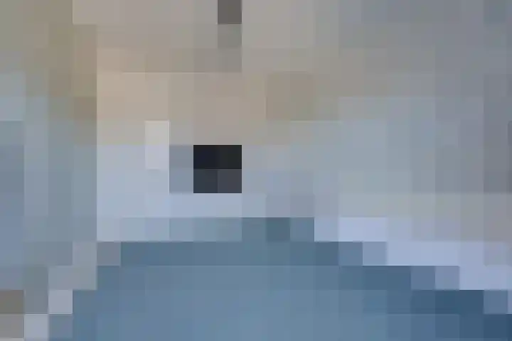 Corellistraat 8 Almere thumbnail 28