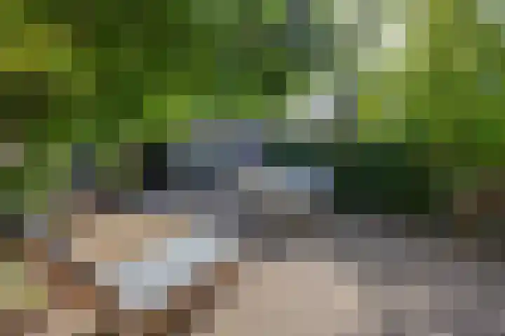 Corellistraat 8 Almere thumbnail 42
