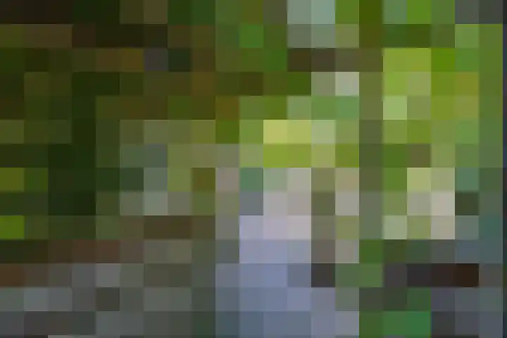 Corellistraat 8 Almere thumbnail 44