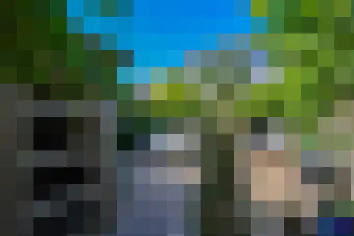 Corellistraat 8 Almere thumbnail 45