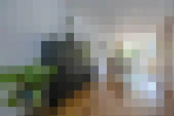 Corellistraat 8 Almere thumbnail 7