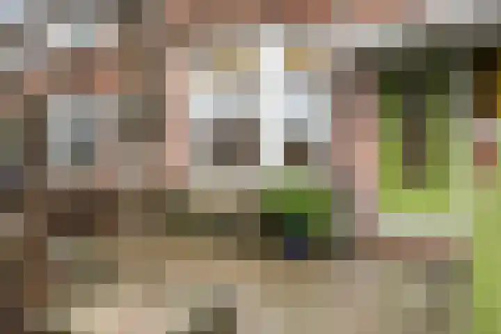 Corfstraat 43 Alkmaar thumbnail 7