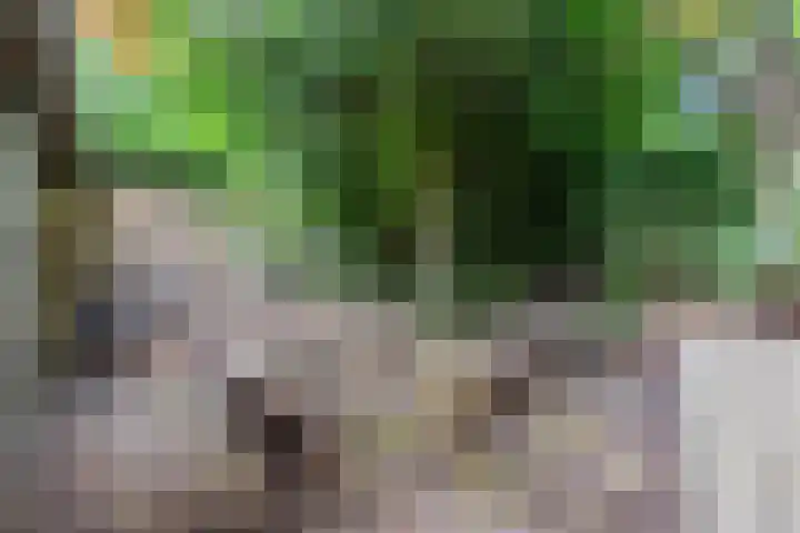 Foto von Corina Uijlen