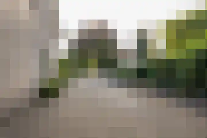 Corlaerstraat 19 Nijkerk thumbnail 35