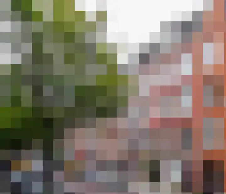 Cornelis Anthoniszstraat 53 1 Amsterdam thumbnail 21