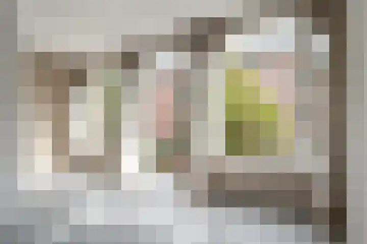 Cornelis Anthoniszstraat 53 1 Amsterdam thumbnail 31