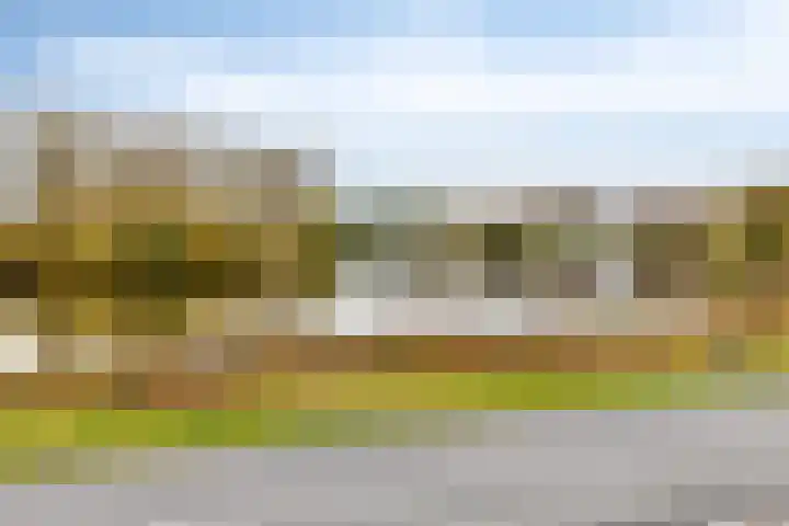 Cornelis Dirkszoonlaan 90 Monnickendam thumbnail 38