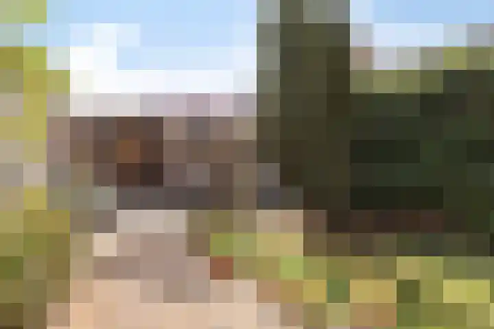 Cornelis Dirkszoonlaan 90 Monnickendam thumbnail 6