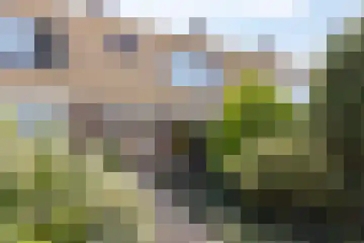 Cornelis Dirkszoonlaan 90 Monnickendam thumbnail 7