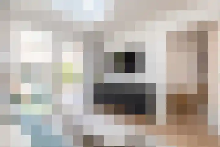 Cornelis Dirkszstraat 11 A 2 Amsterdam thumbnail 35