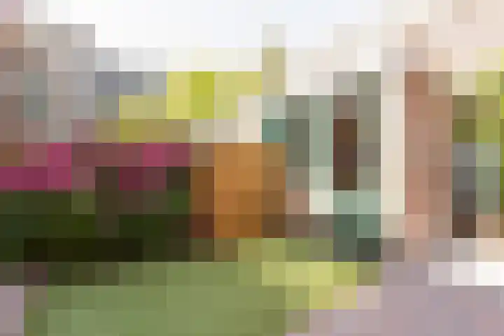 Cornelis Dirkszstraat 11 A 2 Amsterdam thumbnail 44