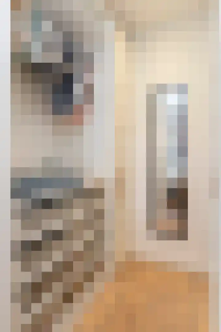 Cornelis Dirkszstraat 11 A 2 Amsterdam thumbnail 47