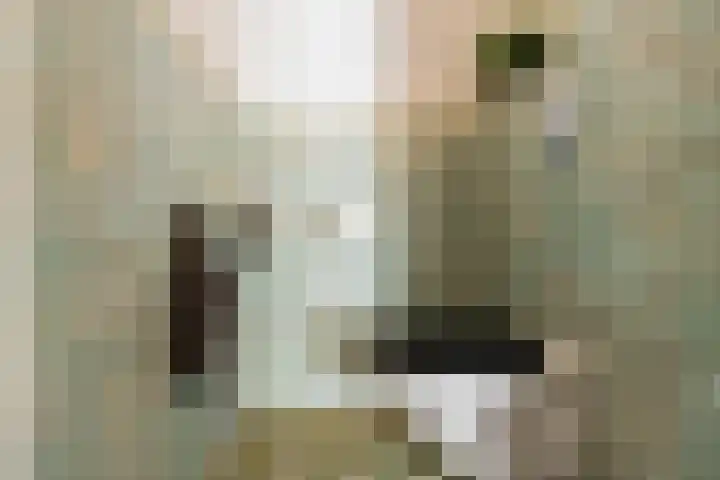 Cornelis Dirkszstraat 11 D 10 Amsterdam thumbnail 20