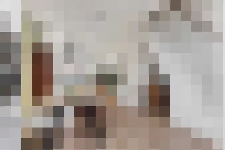 Cornelis Dirkszstraat 20 Utrecht thumbnail 16