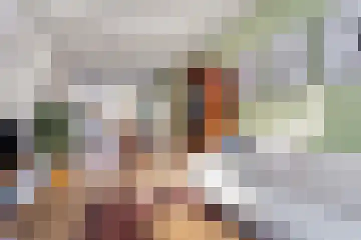 Cornelis Dirkszstraat 20 Utrecht thumbnail 18
