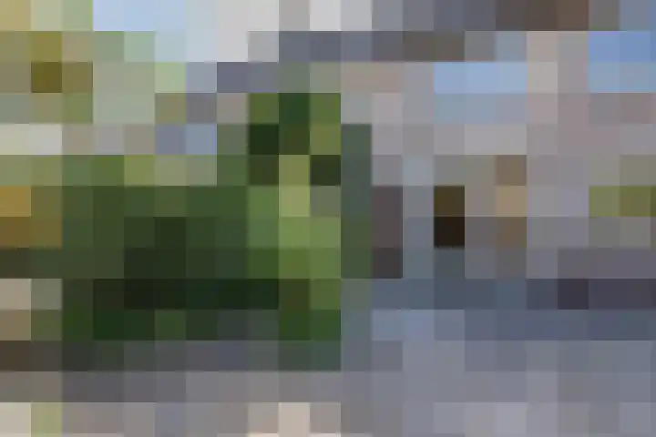 Cornelis Doetsstraat 20 Edam thumbnail 27
