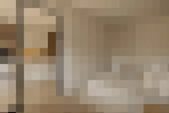 Cornelis Dopperkade 10 H Amsterdam thumbnail 15
