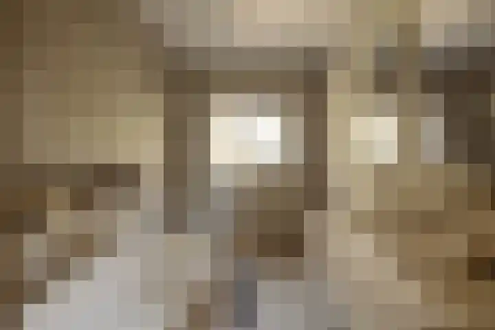 Cornelis Dopperkade 10 H Amsterdam thumbnail 17
