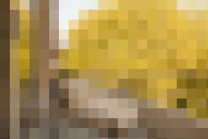 Cornelis Dopperkade 10 H Amsterdam thumbnail 26