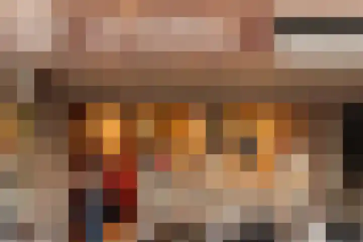 Cornelis Dopperkade 10 H Amsterdam thumbnail 30
