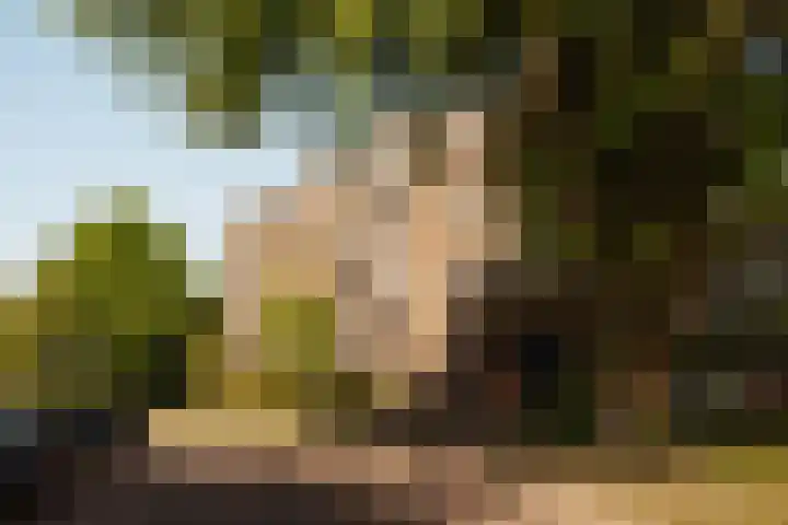 Cornelis Dopperkade 10 H Amsterdam thumbnail 4