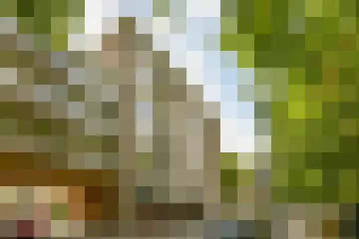 Cornelis Dopperkade 5 1 Amsterdam thumbnail 13