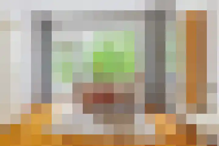 Cornelis Dopperkade 7 3 Amsterdam thumbnail 19