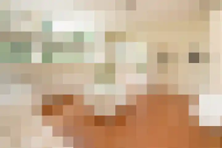 Cornelis Dopperlaan 10 Dieren thumbnail 14