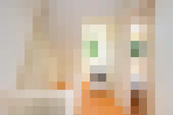 Cornelis Dopperlaan 10 Dieren thumbnail 18