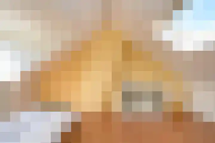 Cornelis Dopperlaan 10 Dieren thumbnail 20
