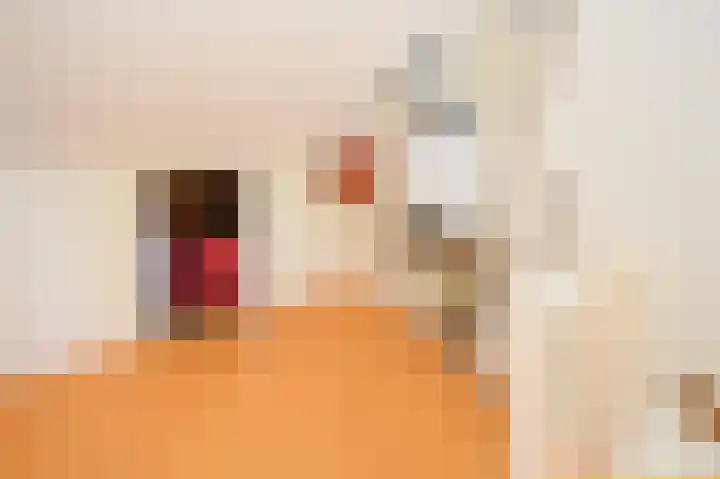 Cornelis Dopperlaan 10 Dieren thumbnail 22