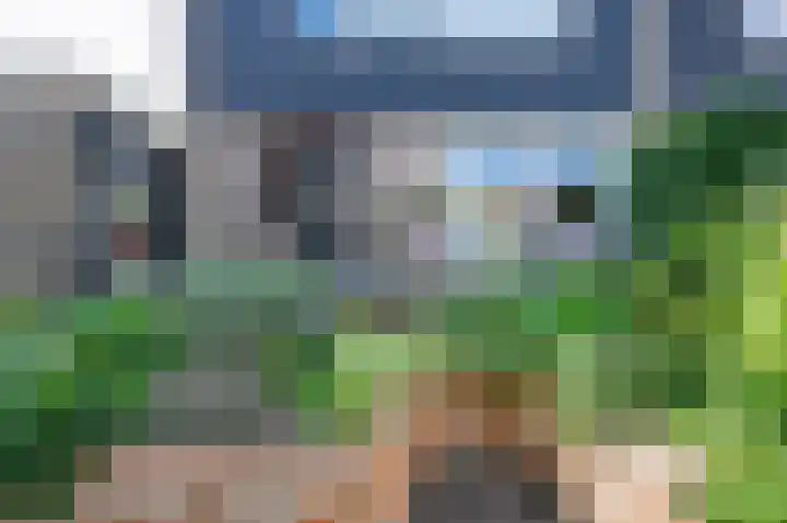 Cornelis Dopperlaan 10 Dieren thumbnail 24