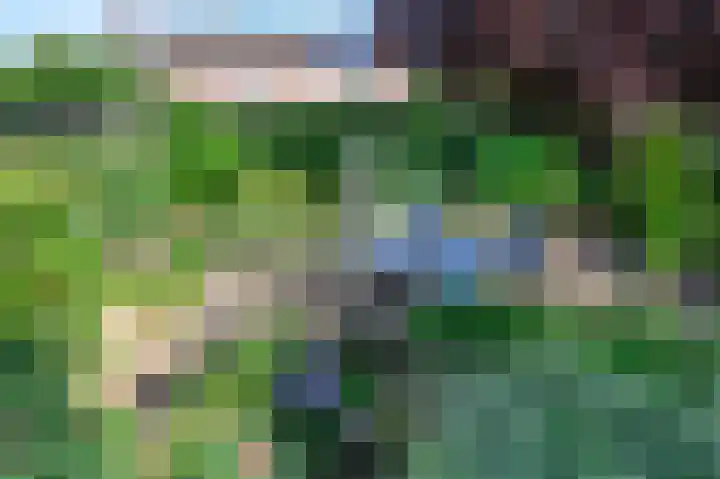 Cornelis Dopperlaan 10 Dieren thumbnail 25