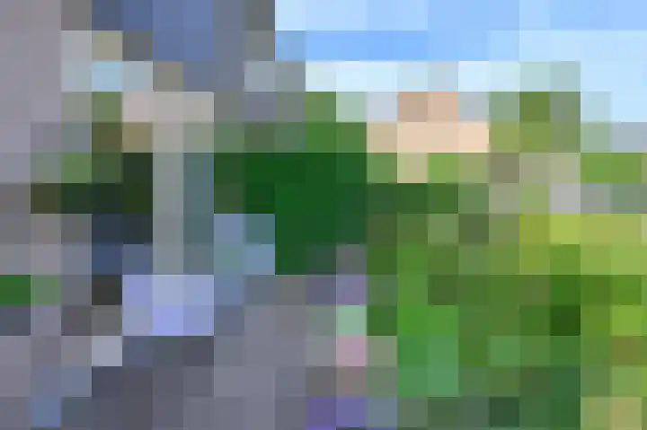 Cornelis Dopperlaan 10 Dieren thumbnail 26