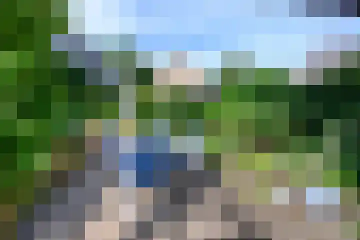 Cornelis Dopperlaan 10 Dieren thumbnail 28