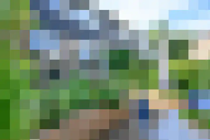 Cornelis Dopperlaan 10 Dieren thumbnail 29