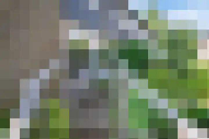 Cornelis Dopperlaan 10 Dieren thumbnail 31