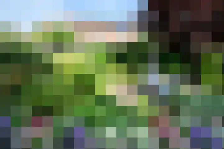 Cornelis Dopperlaan 10 Dieren thumbnail 32