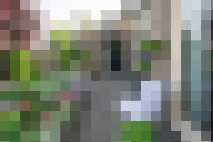 Cornelis Dopperlaan 10 Dieren thumbnail 33