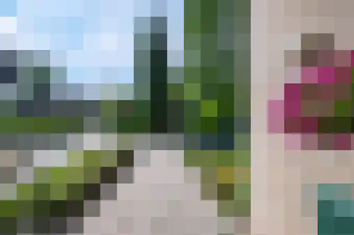 Cornelis Dopperlaan 10 Dieren thumbnail 35