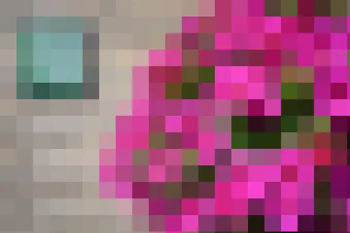 Cornelis Dopperlaan 10 Dieren thumbnail 38